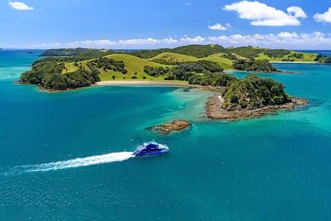 Hole in the Rock Dolphin Cruise Tour Andata e ritorno da Auckland