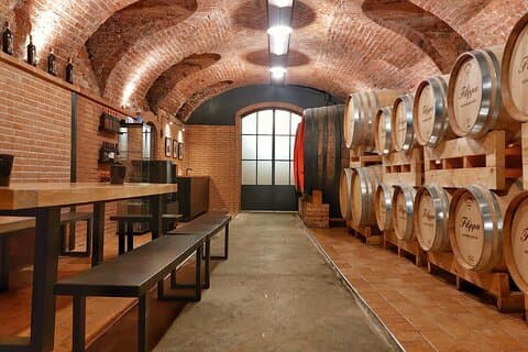 Tour and Wine tasting of Agliano Wines