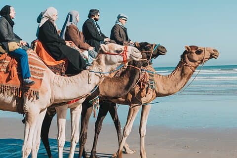 Restauranter i nærheden af Essaouira Camel Rides In The Beach