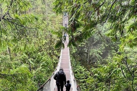 Private Tour durch Lynn Canyon Park Wanderung
