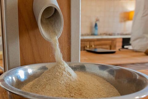 Golden Grains & Gourmet Pasta Cooking Class