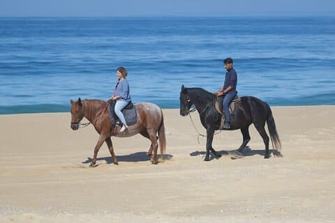 Descubriendo Silver Coast Adventure