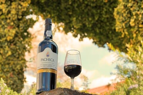 Vinos privados y fincas de excelencia del valle del Duero con almuerzo