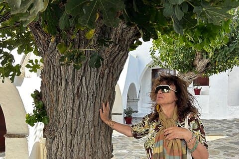 Private Tour: Mykonos in einem halben Tag