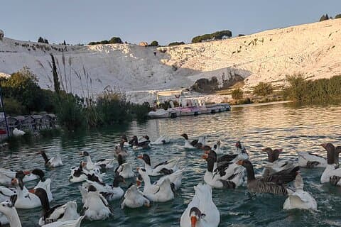 Excursions privées à Pamukkale (Hierapolis) au départ de Kusadasi/Port (EPHESUS)