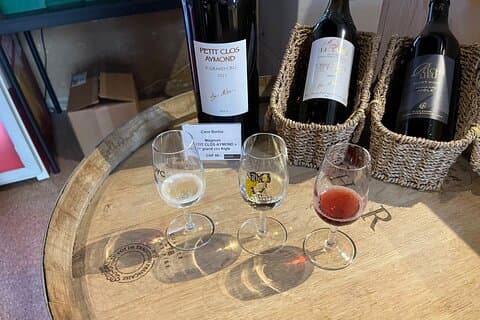 Besuch der Lavaux-Weinberge und des Weinmuseums im Schloss Aigle