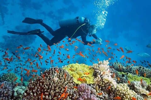 Nha Trang Marine Park Scuba Diving Tour 2 duiken voor beginners