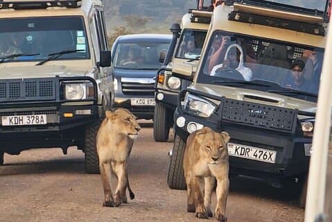 Game Drive au parc national de Nairobi