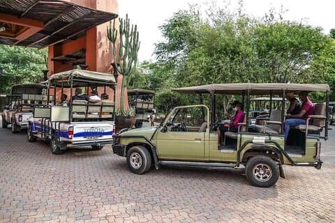 Game Drive and Short Rhino Walking Safari