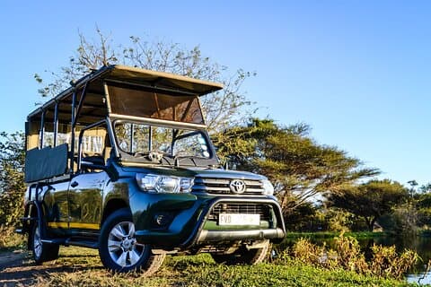 Kruger National Park Wildlife Safari with Private Guide