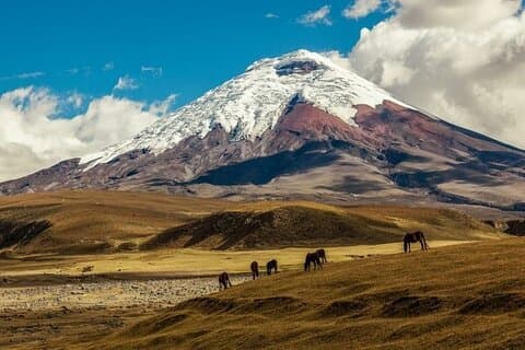 Aventure en Équateur Volcan Cotopaxi