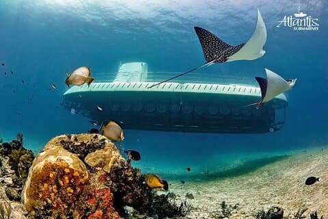 Cozumel Submarine Tour from Cancun or Playa del Carmen