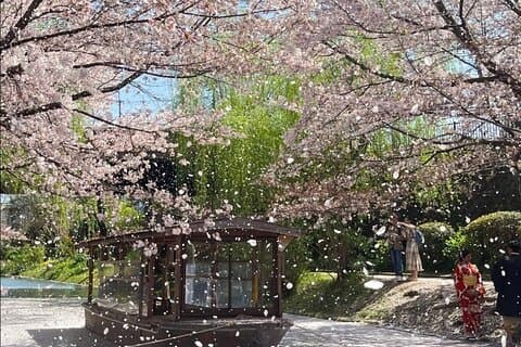 Hoteller i nærheden af Kyoto City Cherry Blossom Private Sightseeing Tour