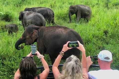 Sigiriya Rock Climb, Village Tour+Cooking Class & Elephant Safari