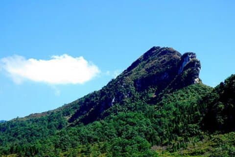 Ham Rong Mountain Trekking Tour di un giorno con guida locale Hmong
