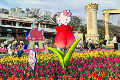 Everland Theme Park Transfert privé (De Séoul)