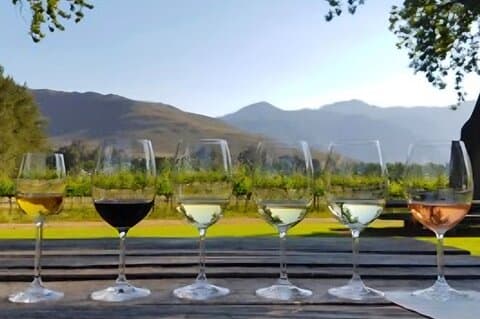 Stellenbosch&Franschhoek Uncorked A Full-Day Wine Adventure