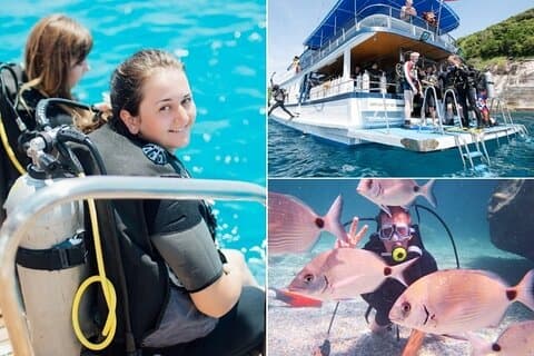 Marmaris / Icmeler : Dykning med lunch och transfer