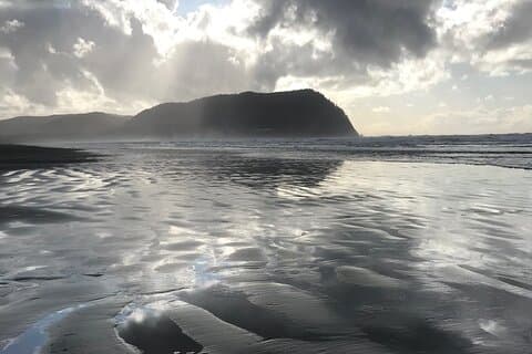 Oregon Coast Scenic Day Tour