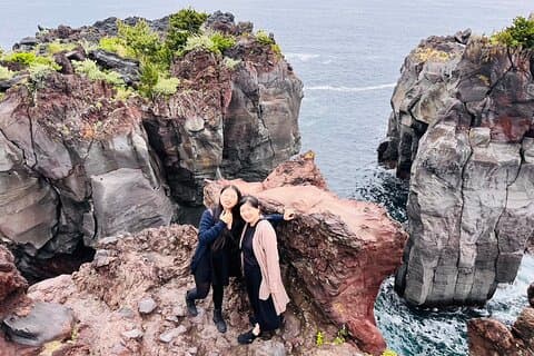 Ultimate View Izu Car Tour with Hotel Pickup and Local Guide