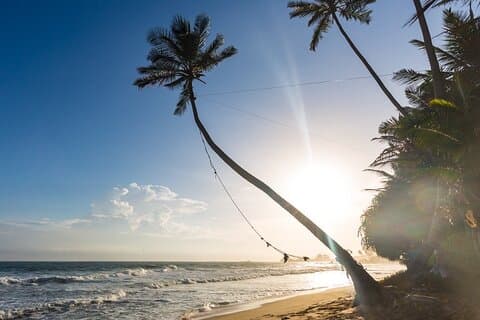 Southern Sri Lanka Day tour from Hambantota