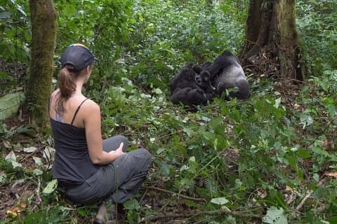 Safari di 2 giorni in gorilla ruandese