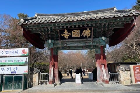 Från Busan: Gyeongju Körsbärsblomsdag