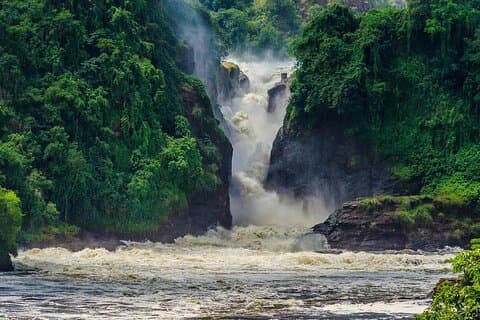 7-Day Gorilla og Chimpanzee Trekking med Game Drive