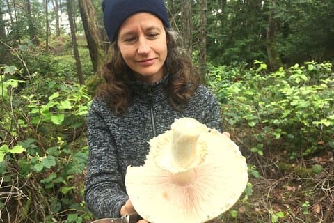 Vilde svampe foraging klasse