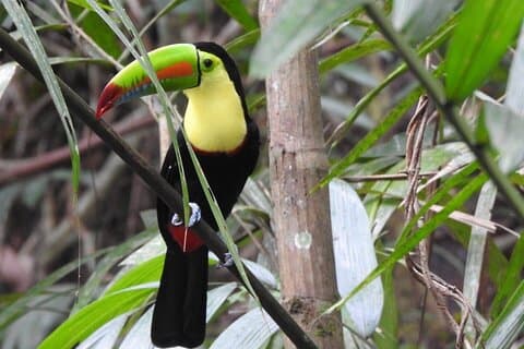 Faits saillants de l'observation des oiseaux et de la nature sur la route des pipelines