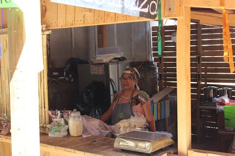 Atelier de tamales d'Oaxaca « Mains à la Masse »