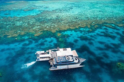 Cruzeiro de snorkel da Quicksilver Great Barrier Reef a partir de Port Douglas