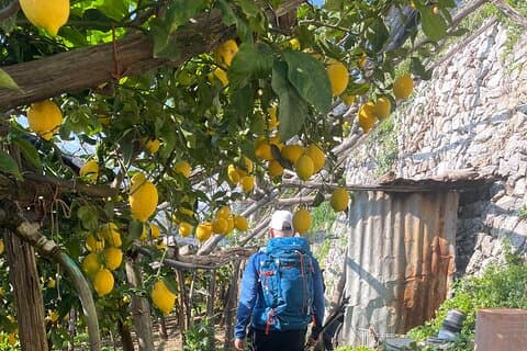 Lemon Path Tour with Tasting Session and Transfer from Amalfi