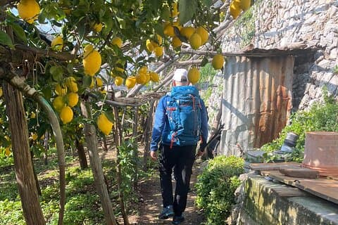 Lemon Path Tour with Tasting Session and Transfer from Salerno