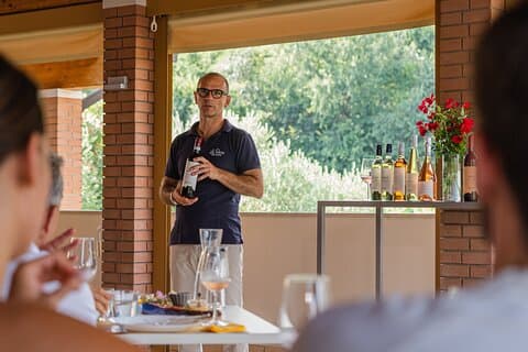 Bardolino: visita a los viñedos, degustación de vinos, aceites y alimentos.