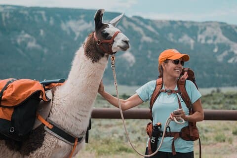Espetacular caminhada guiada Llama de 8 horas com almoço e jantar