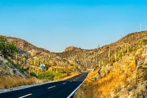 De Puebla : Visite privée à la réserve de biosphère de Tehuacán + mezcal