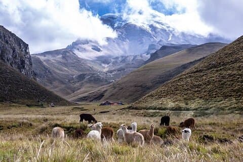 Entre as nuvens Uma viagem a Chimborazo