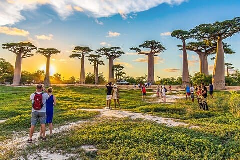 Privé 9-daagse baobab- en singy-familiesafari's op Madagaskar