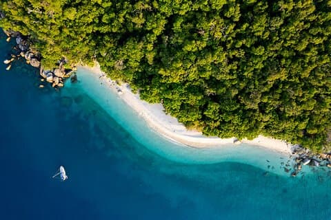 Half Day Morning Adventure - Fitzroy Island Return Ferry Included