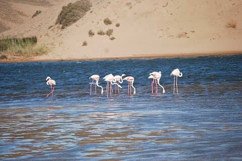 Tour por el Parque Nacional Souss Massa