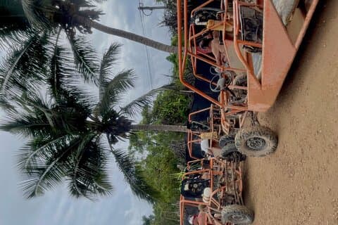 Extreme Buggy-Touren Punta Cana DR
