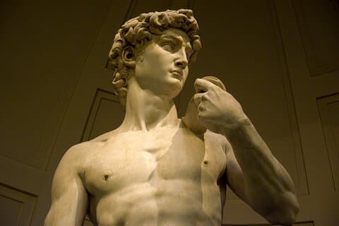 Salta la coda Galleria dell'Accademia e David di Michelangelo