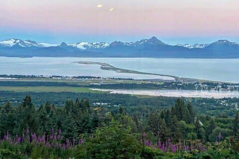 HOMER - Wilderness Wildlife & Beachcombing Experience