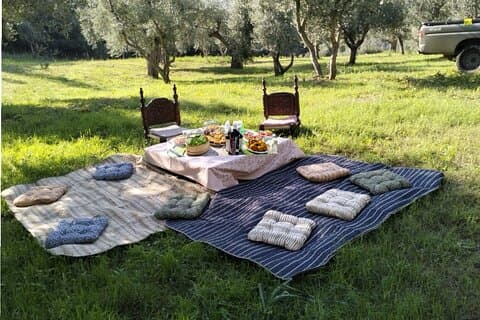 Matera: Gourmetpicnic blandt århundreder gamle oliventræer og udsigt