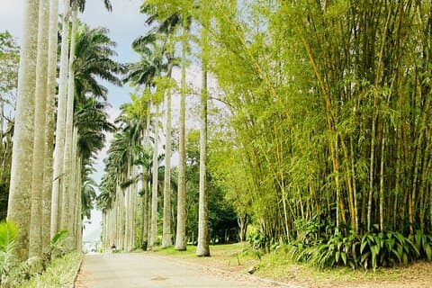 Botanische tuinen van Aburi en Aburi Craft Village