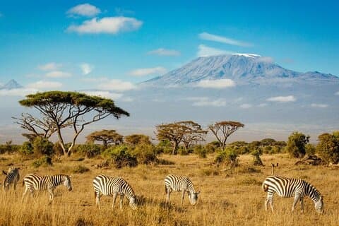 7-daagse Masai Mara, Nakuru, Naivasha & Amboseli Kenia Budget Safari