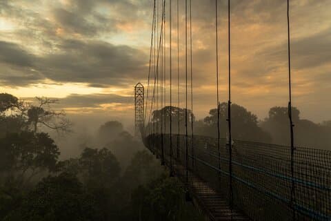 Equador Nature Travel 15d / 14n
