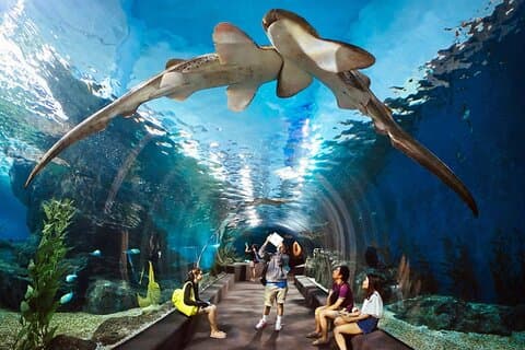 Pattaya undervanns verden billett