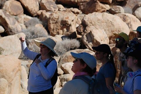 Joshua Tree Natural Wonders Walk: Planter, dyr og steiner